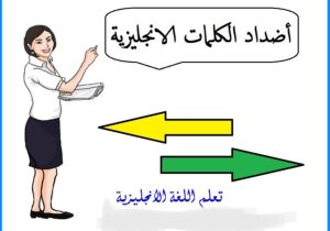 كلمات متضادة باللغة الإنجليزية